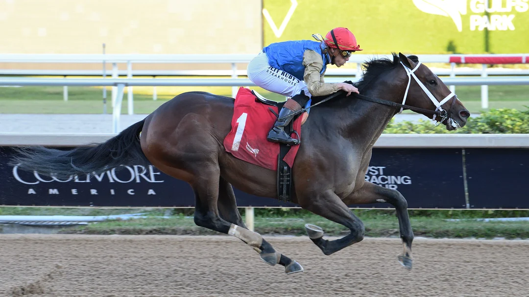 Commandment at Mucho Man Stakes