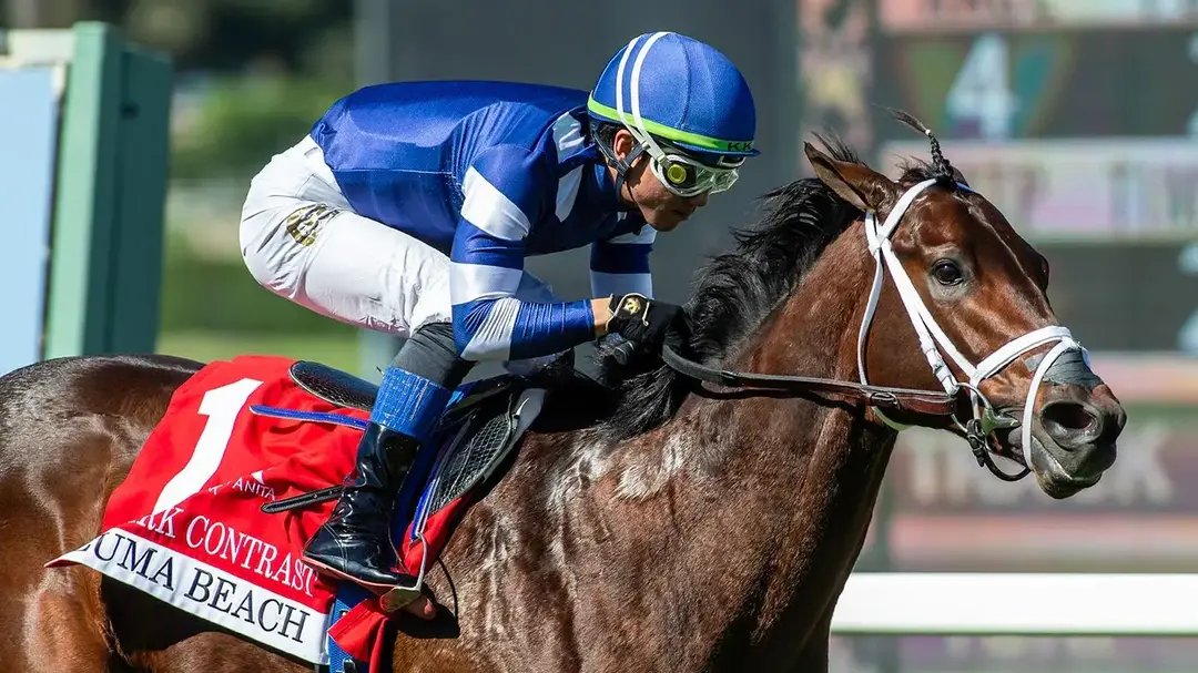 Sensational Saudi Cup: Forever Young Edges Romantic Warrior