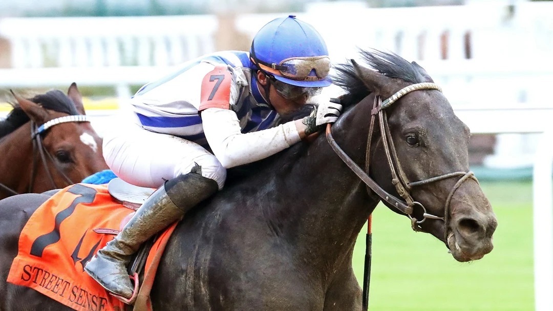 Sensational Saudi Cup: Forever Young Edges Romantic Warrior