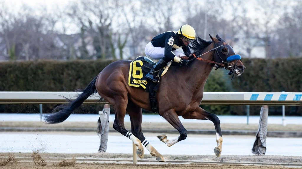 Sensational Saudi Cup: Forever Young Edges Romantic Warrior