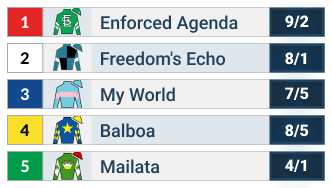 Jerome Stakes Official Odds