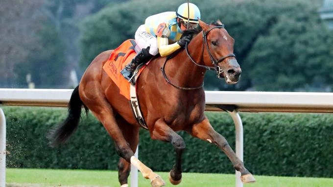 Sensational Saudi Cup: Forever Young Edges Romantic Warrior