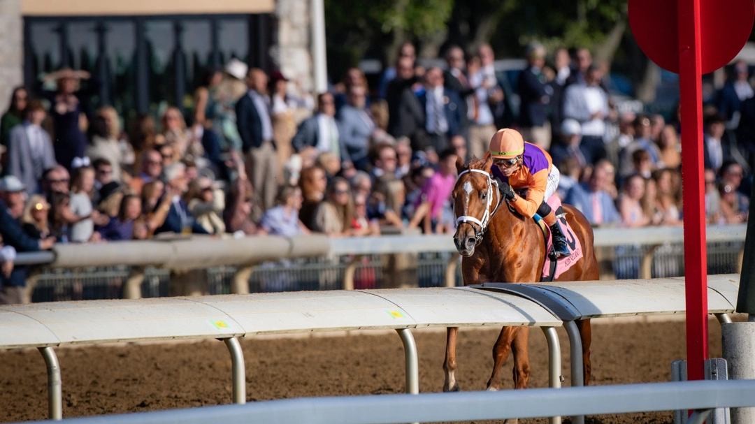 Sensational Saudi Cup: Forever Young Edges Romantic Warrior