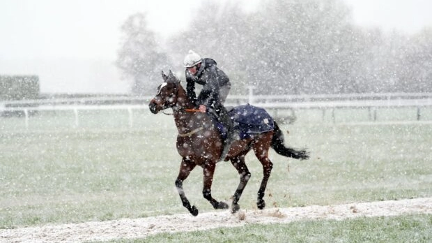Sensational Saudi Cup: Forever Young Edges Romantic Warrior