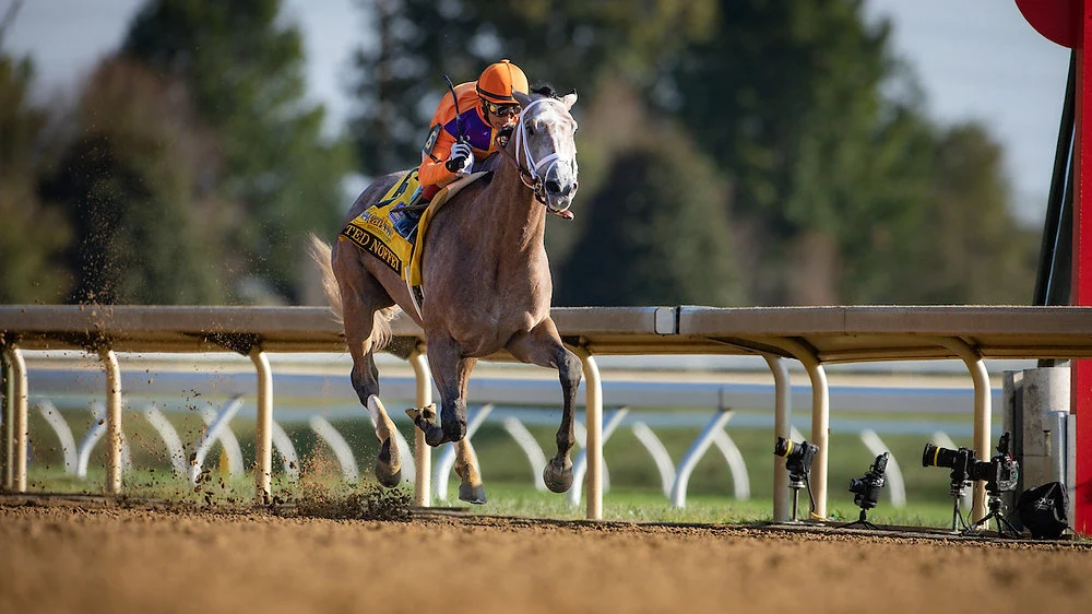 Sensational Saudi Cup: Forever Young Edges Romantic Warrior