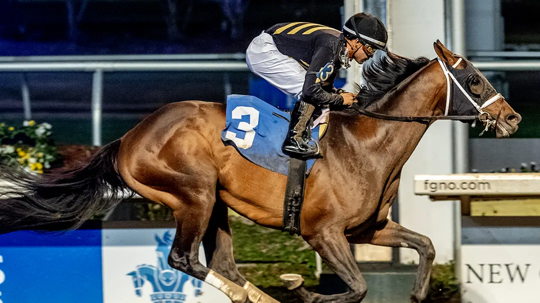 Sensational Saudi Cup: Forever Young Edges Romantic Warrior