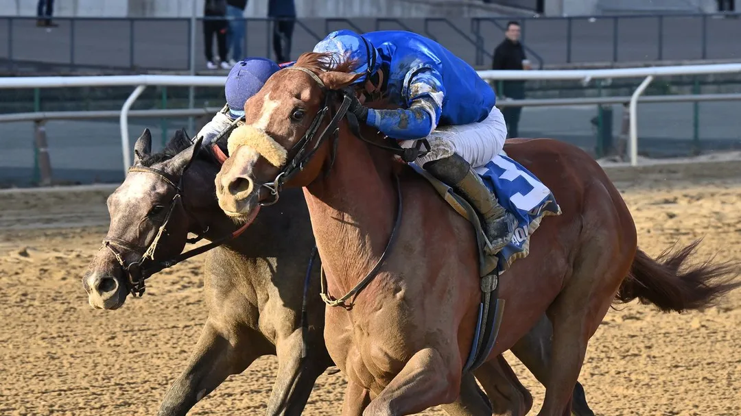 Sensational Saudi Cup: Forever Young Edges Romantic Warrior