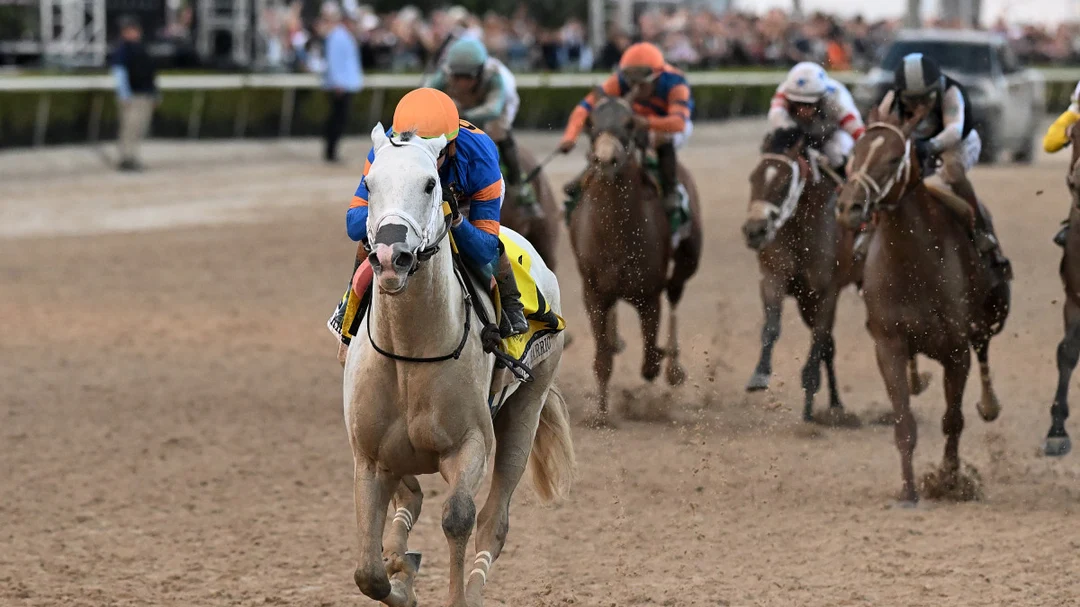 Sensational Saudi Cup: Forever Young Edges Romantic Warrior