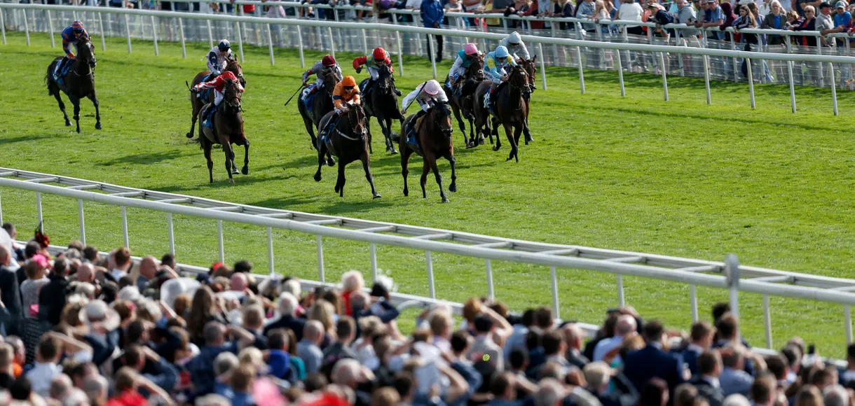 Sensational Saudi Cup: Forever Young Edges Romantic Warrior