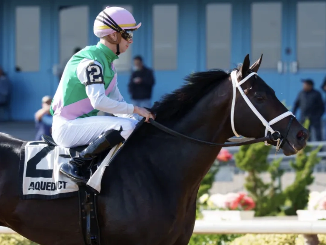 Sensational Saudi Cup: Forever Young Edges Romantic Warrior