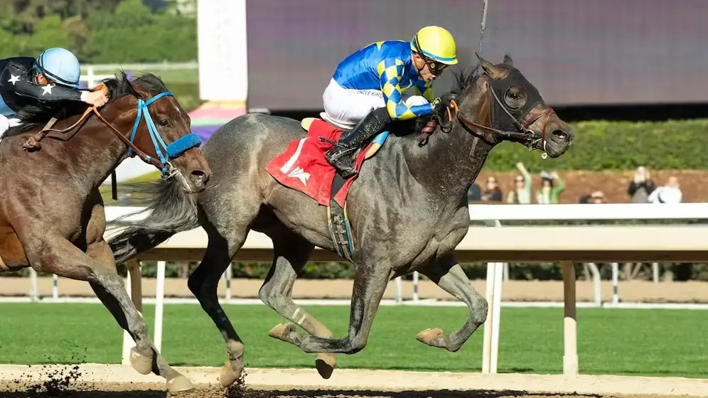 Sensational Saudi Cup: Forever Young Edges Romantic Warrior