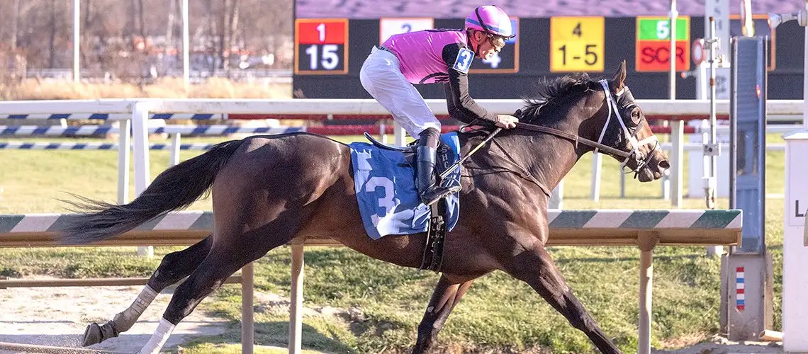 Sensational Saudi Cup: Forever Young Edges Romantic Warrior