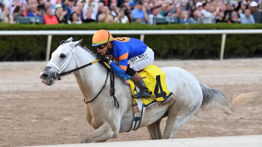 Sensational Saudi Cup: Forever Young Edges Romantic Warrior