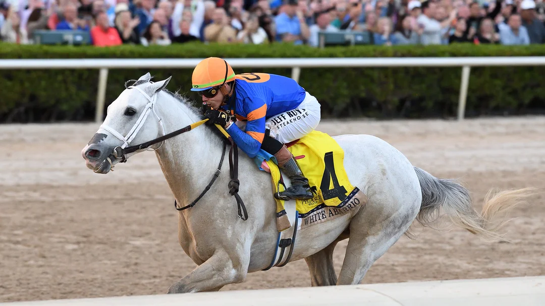 Sensational Saudi Cup: Forever Young Edges Romantic Warrior