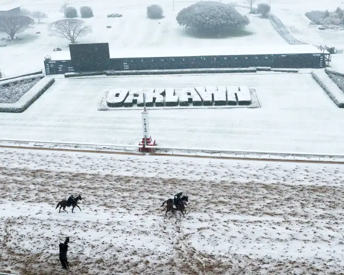 Sensational Saudi Cup: Forever Young Edges Romantic Warrior