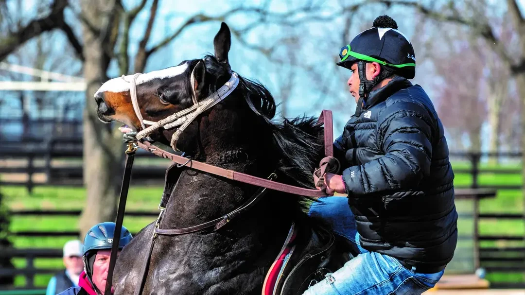 Sensational Saudi Cup: Forever Young Edges Romantic Warrior
