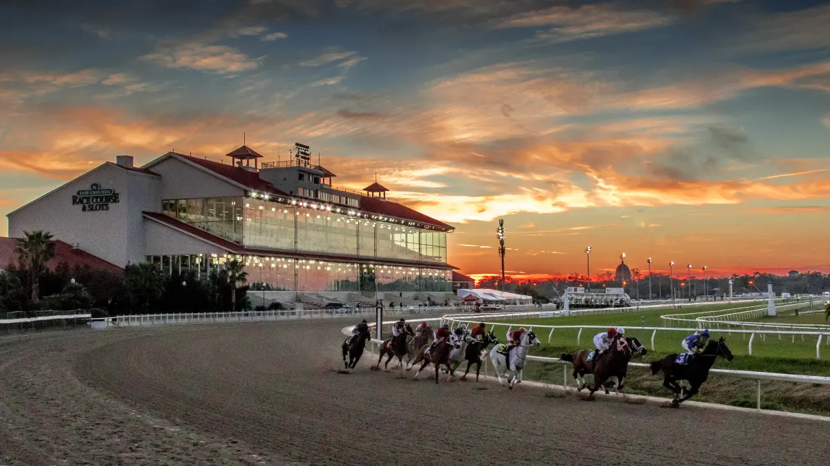 Sensational Saudi Cup: Forever Young Edges Romantic Warrior