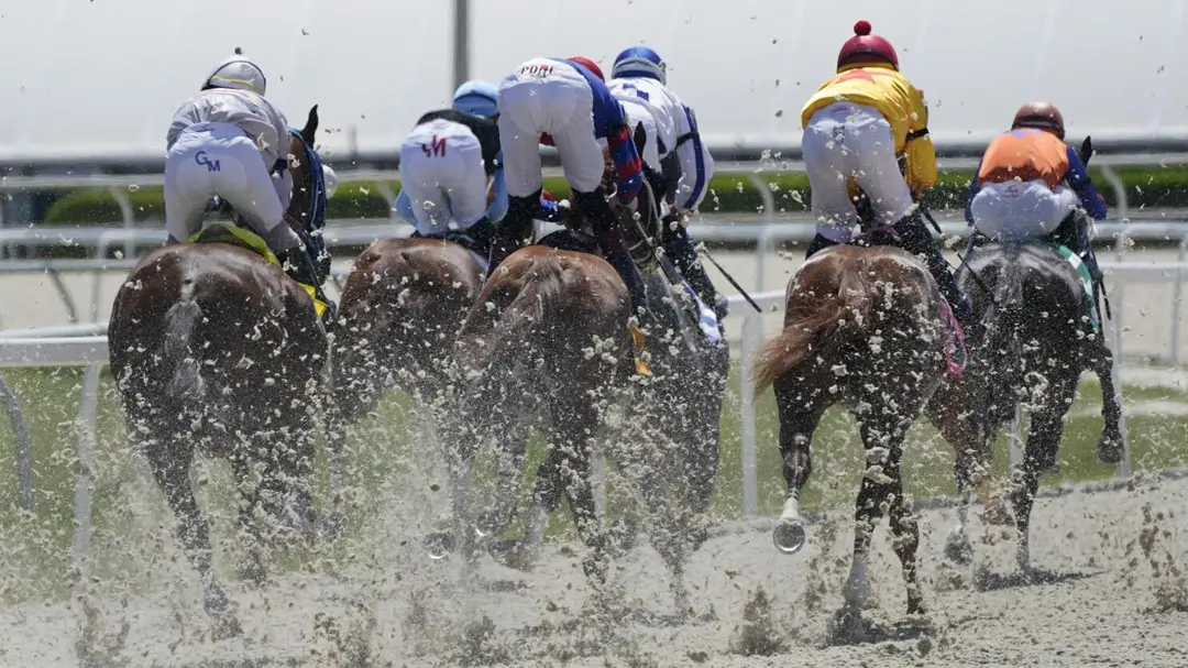 Sensational Saudi Cup: Forever Young Edges Romantic Warrior