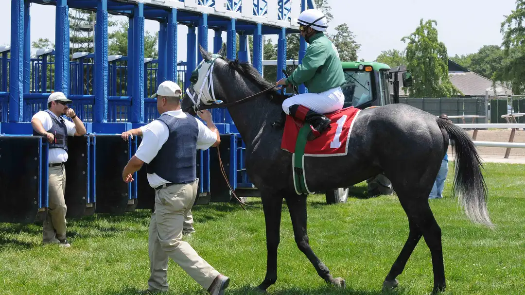 Sensational Saudi Cup: Forever Young Edges Romantic Warrior