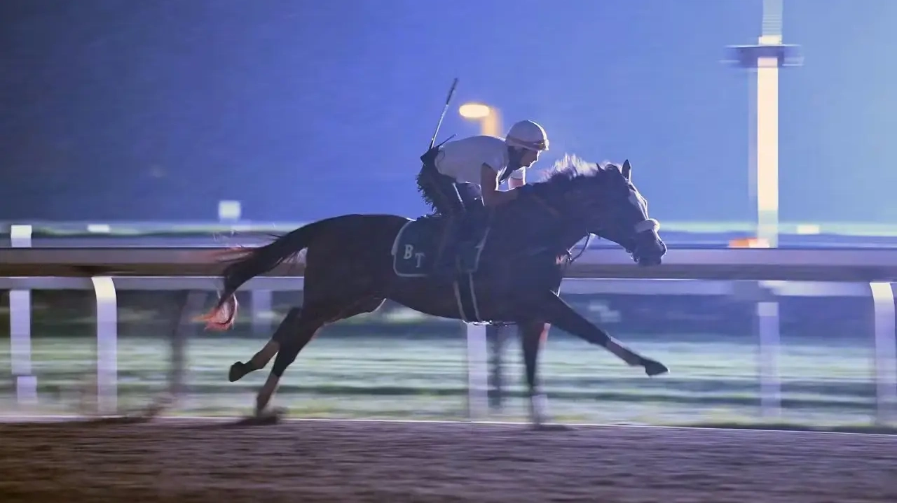 Sensational Saudi Cup: Forever Young Edges Romantic Warrior