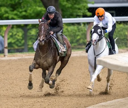 Sensational Saudi Cup: Forever Young Edges Romantic Warrior