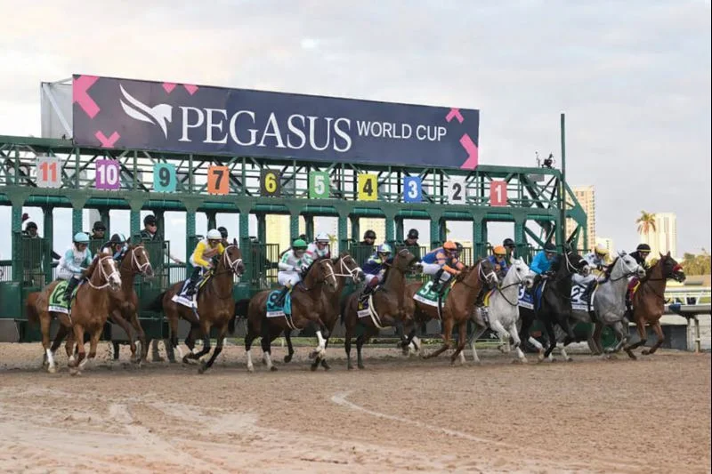 Sensational Saudi Cup: Forever Young Edges Romantic Warrior