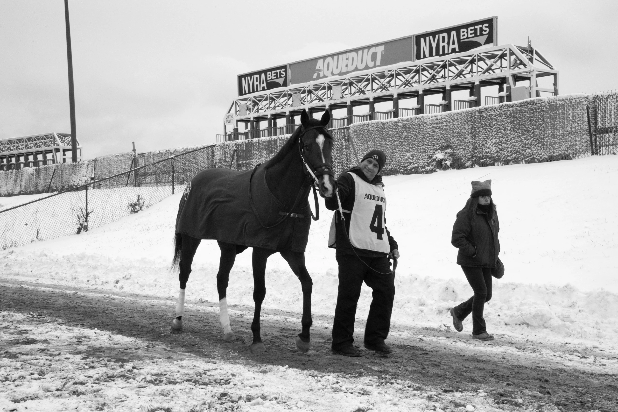 Sensational Saudi Cup: Forever Young Edges Romantic Warrior