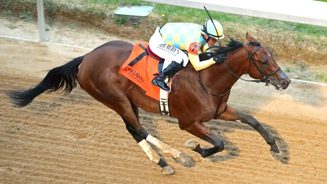 Sensational Saudi Cup: Forever Young Edges Romantic Warrior