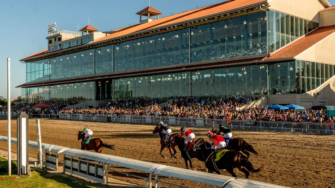 Sensational Saudi Cup: Forever Young Edges Romantic Warrior