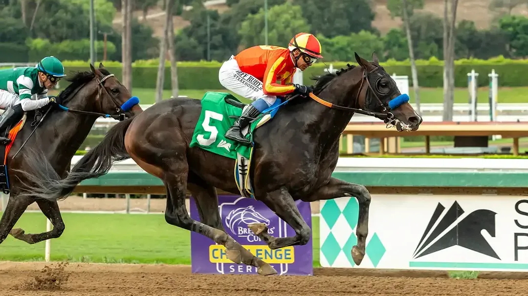 Sensational Saudi Cup: Forever Young Edges Romantic Warrior