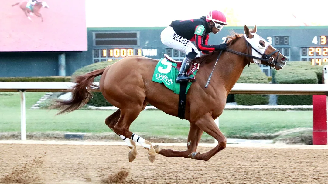 Sensational Saudi Cup: Forever Young Edges Romantic Warrior