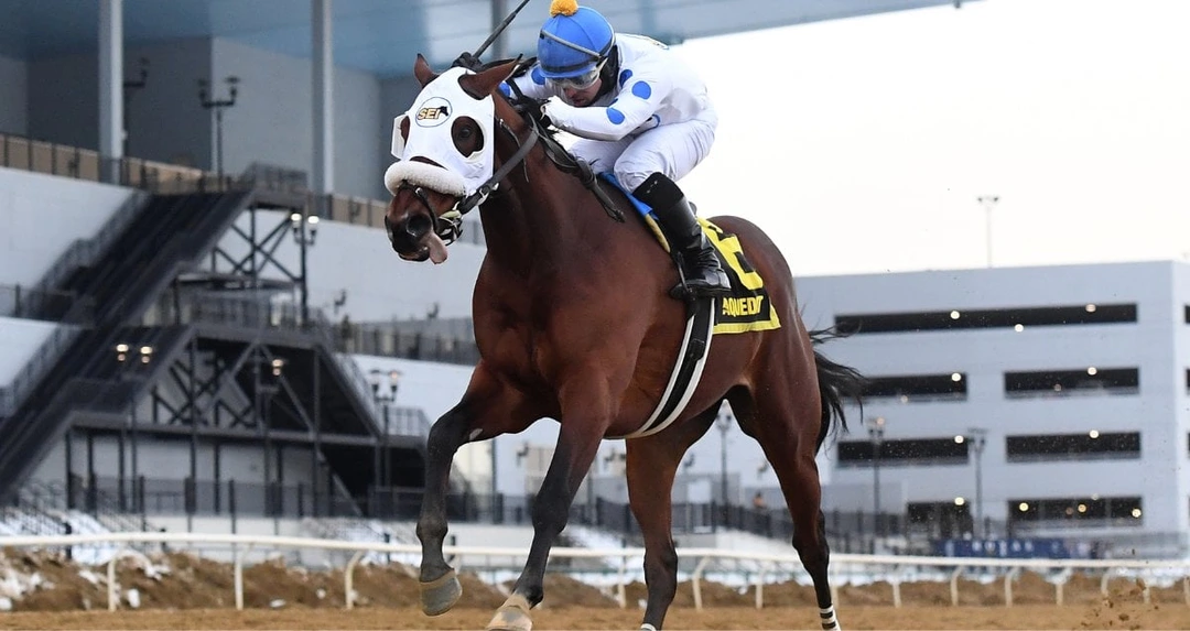 Talk to me Jimmy Romps in Withers