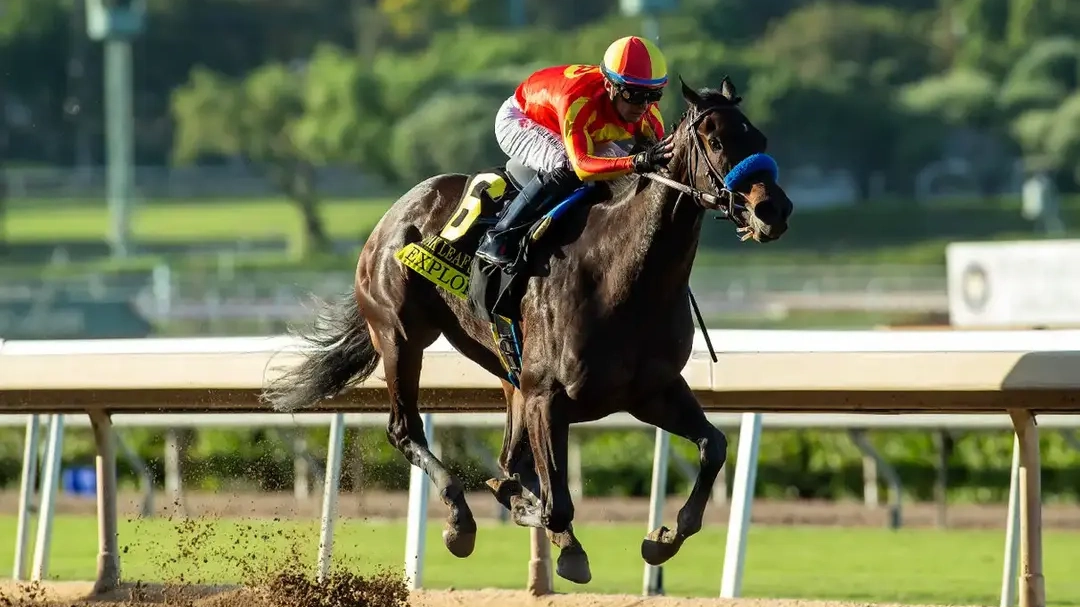 Sensational Saudi Cup: Forever Young Edges Romantic Warrior