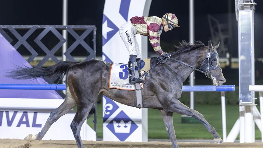 Sensational Saudi Cup: Forever Young Edges Romantic Warrior