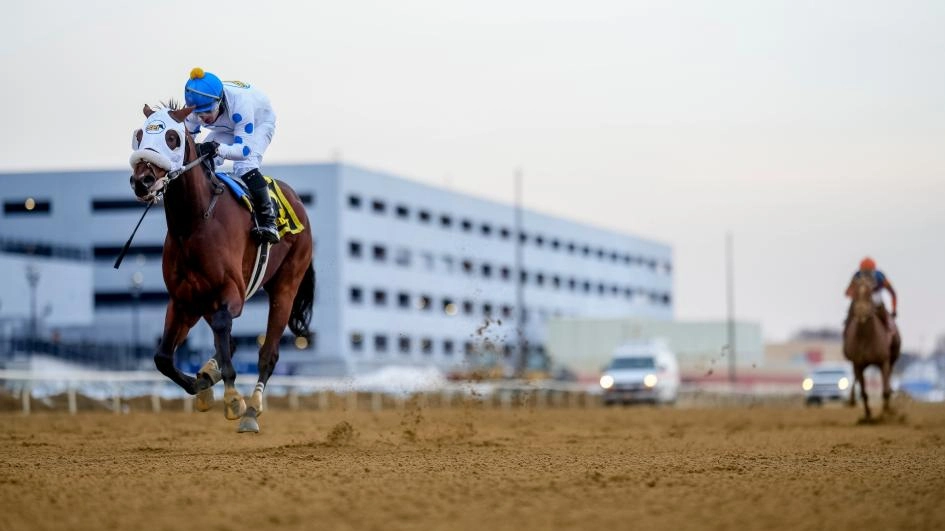 Kentucky Derby Betting Insights: Who Will Handle the Distance?
