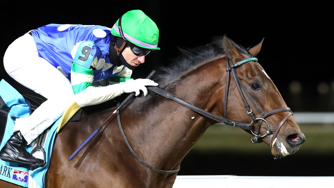 Sensational Saudi Cup: Forever Young Edges Romantic Warrior