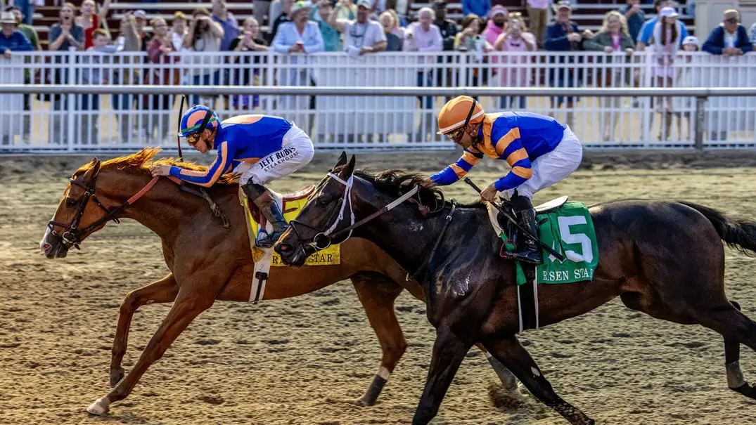 Sensational Saudi Cup: Forever Young Edges Romantic Warrior