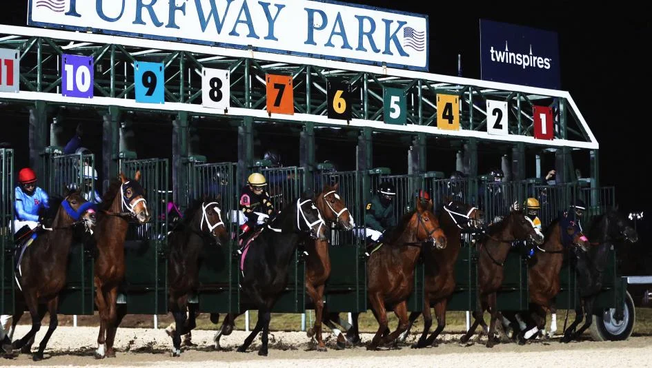 Sensational Saudi Cup: Forever Young Edges Romantic Warrior