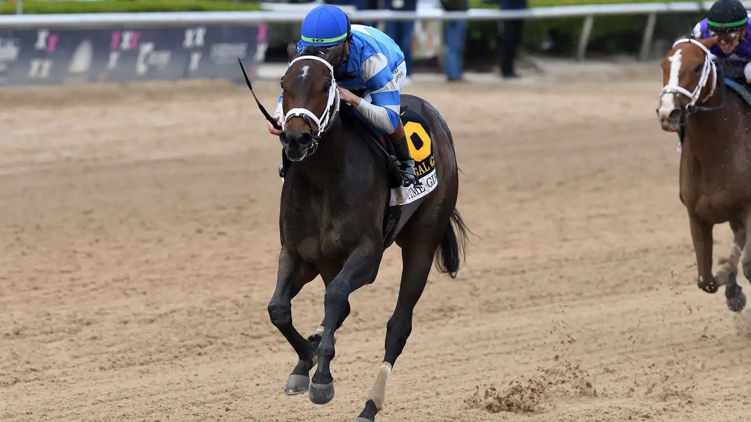 Sensational Saudi Cup: Forever Young Edges Romantic Warrior