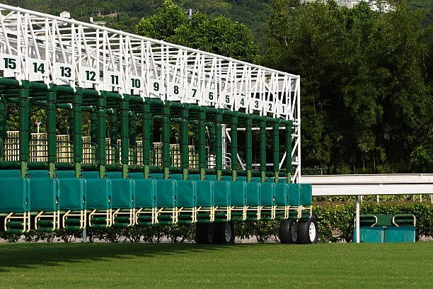 Sensational Saudi Cup: Forever Young Edges Romantic Warrior