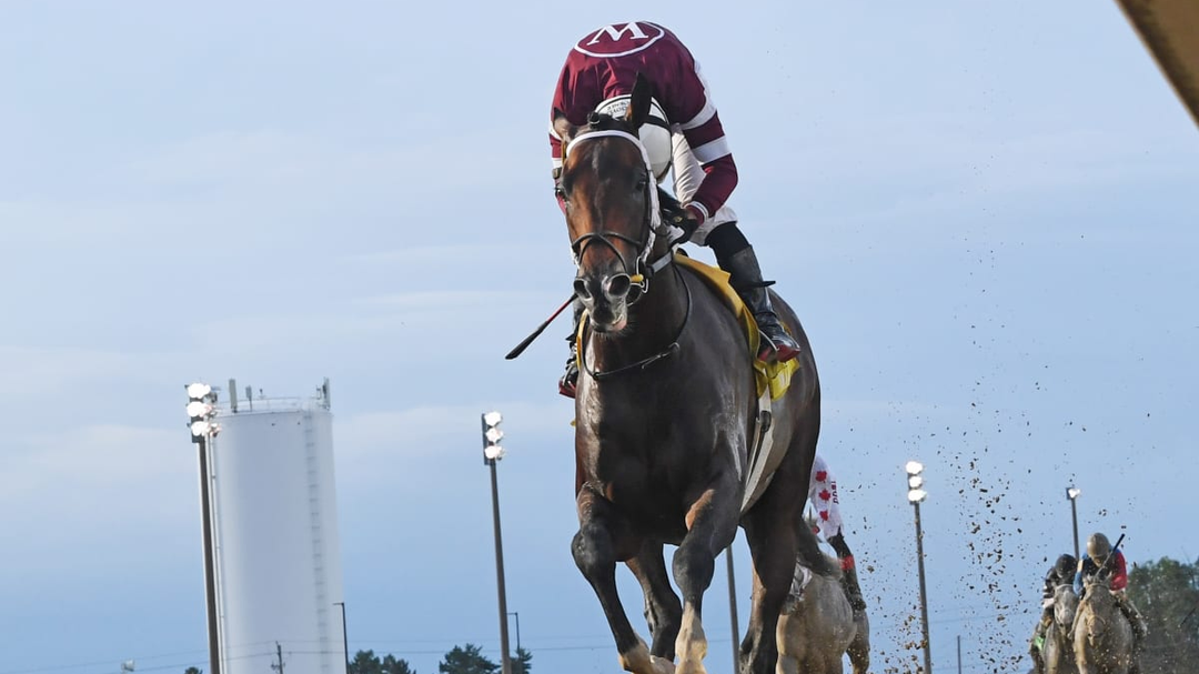 Sensational Saudi Cup: Forever Young Edges Romantic Warrior