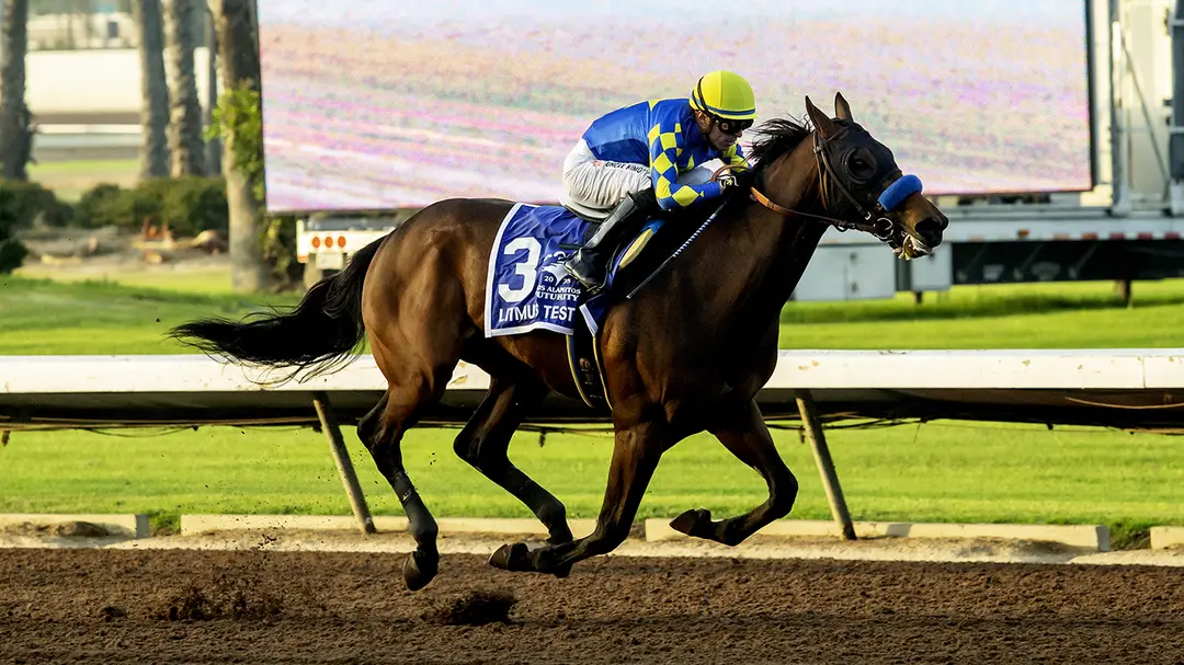 Sensational Saudi Cup: Forever Young Edges Romantic Warrior