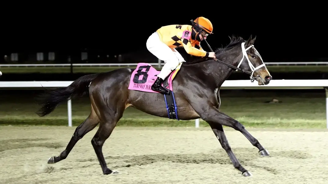 Sensational Saudi Cup: Forever Young Edges Romantic Warrior