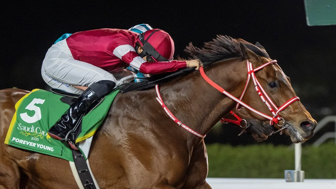 Sensational Saudi Cup: Forever Young Edges Romantic Warrior