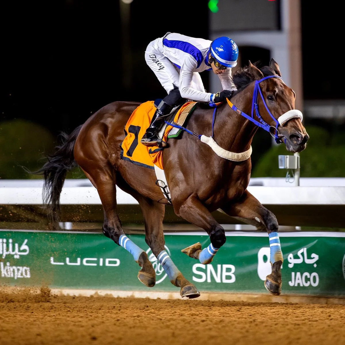 Sensational Saudi Cup: Forever Young Edges Romantic Warrior