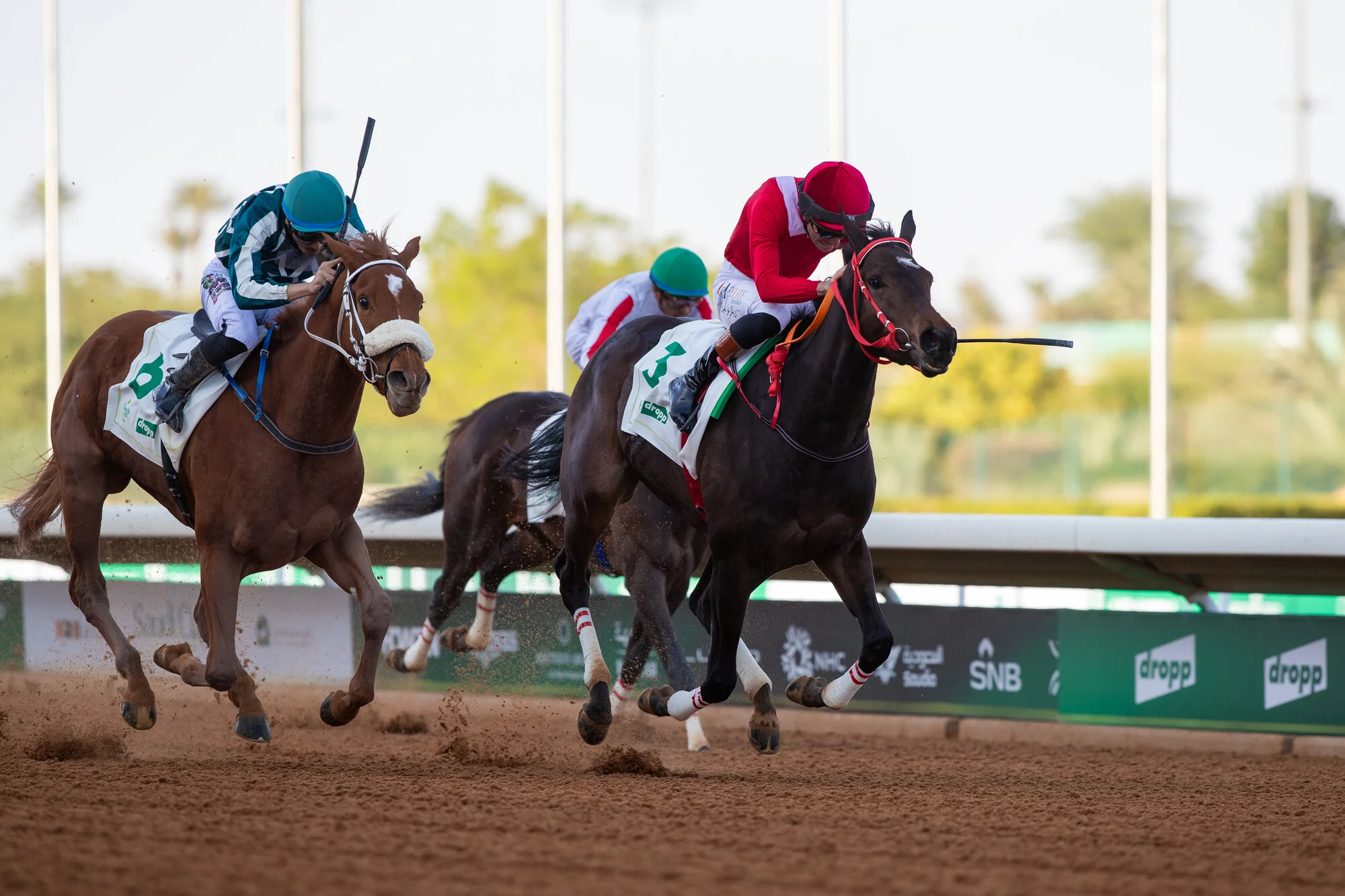 Sensational Saudi Cup: Forever Young Edges Romantic Warrior
