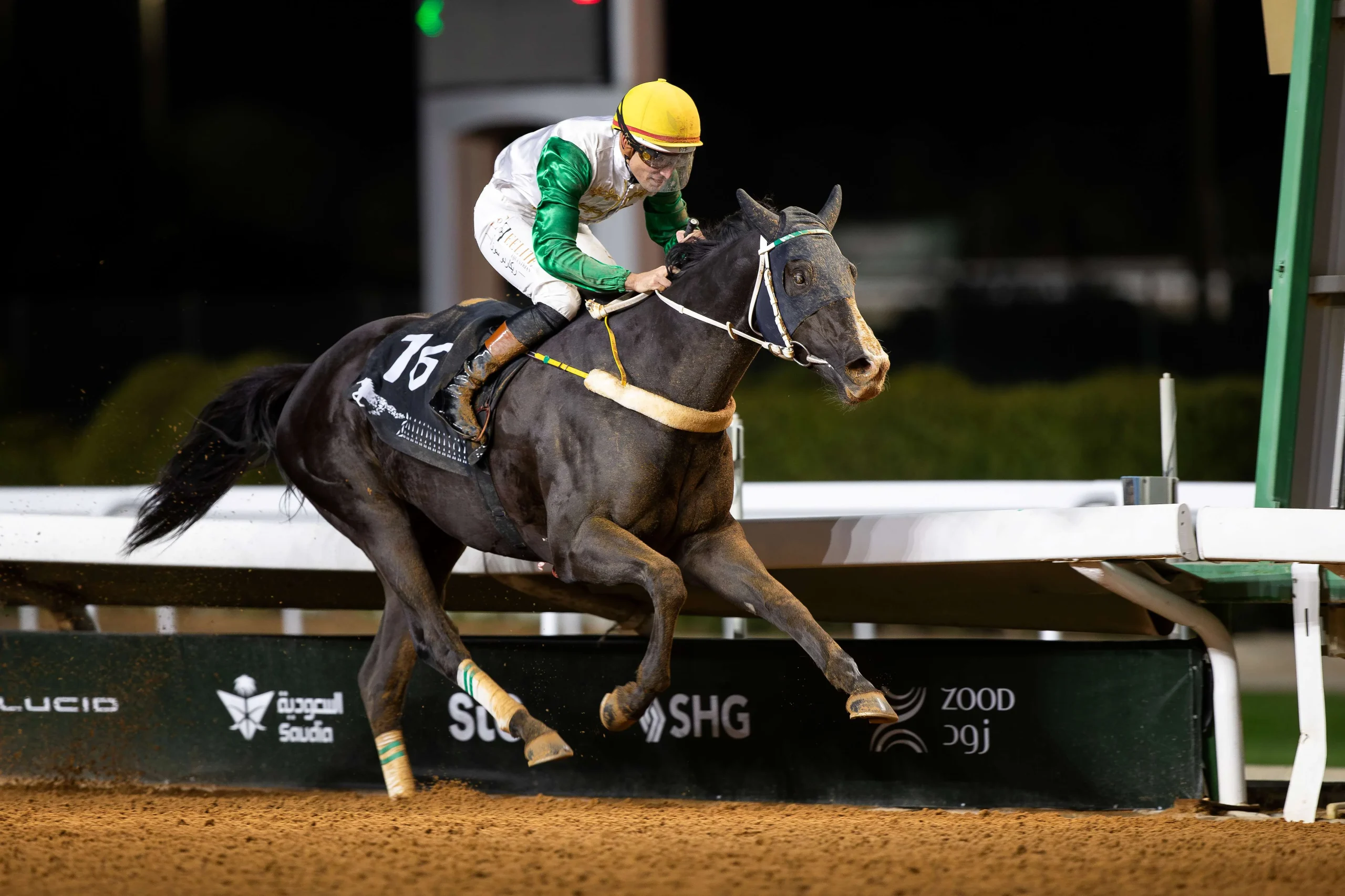 Sensational Saudi Cup: Forever Young Edges Romantic Warrior