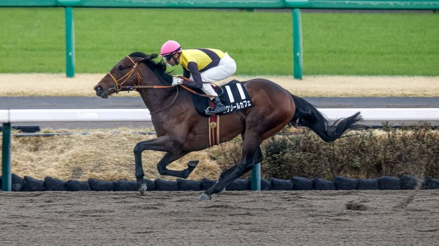 Sensational Saudi Cup: Forever Young Edges Romantic Warrior