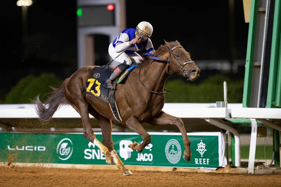 Sensational Saudi Cup: Forever Young Edges Romantic Warrior