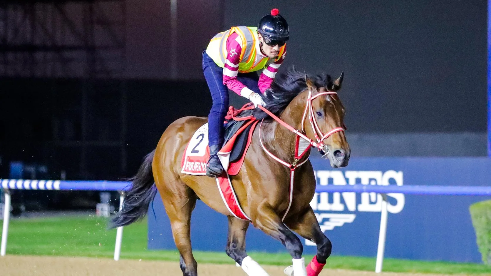 Sensational Saudi Cup: Forever Young Edges Romantic Warrior